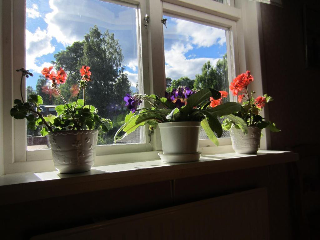 Haverud Hostel Bagian luar foto